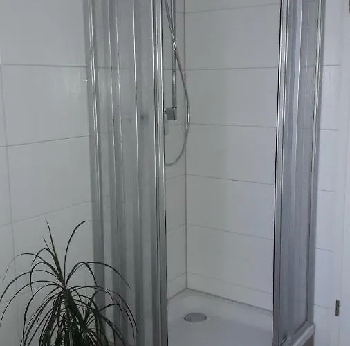 Apartament New Look